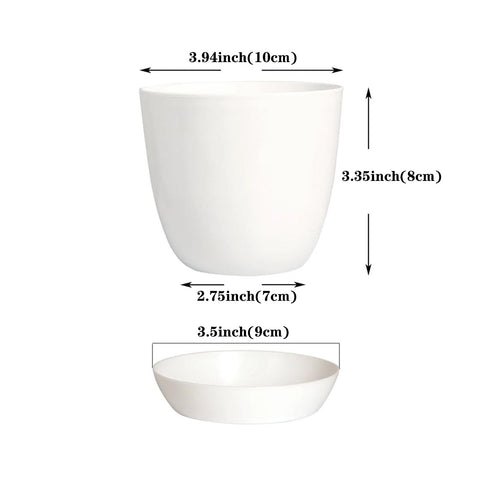 Tergy 4-inch pots with drainage holes support healthy root growth.