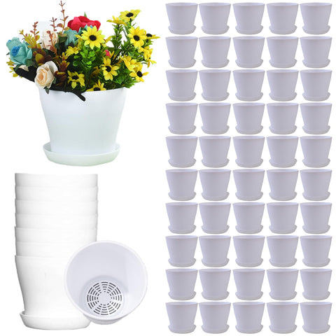 Tergy 50-pack white 4-inch plant pots for bulk projects.