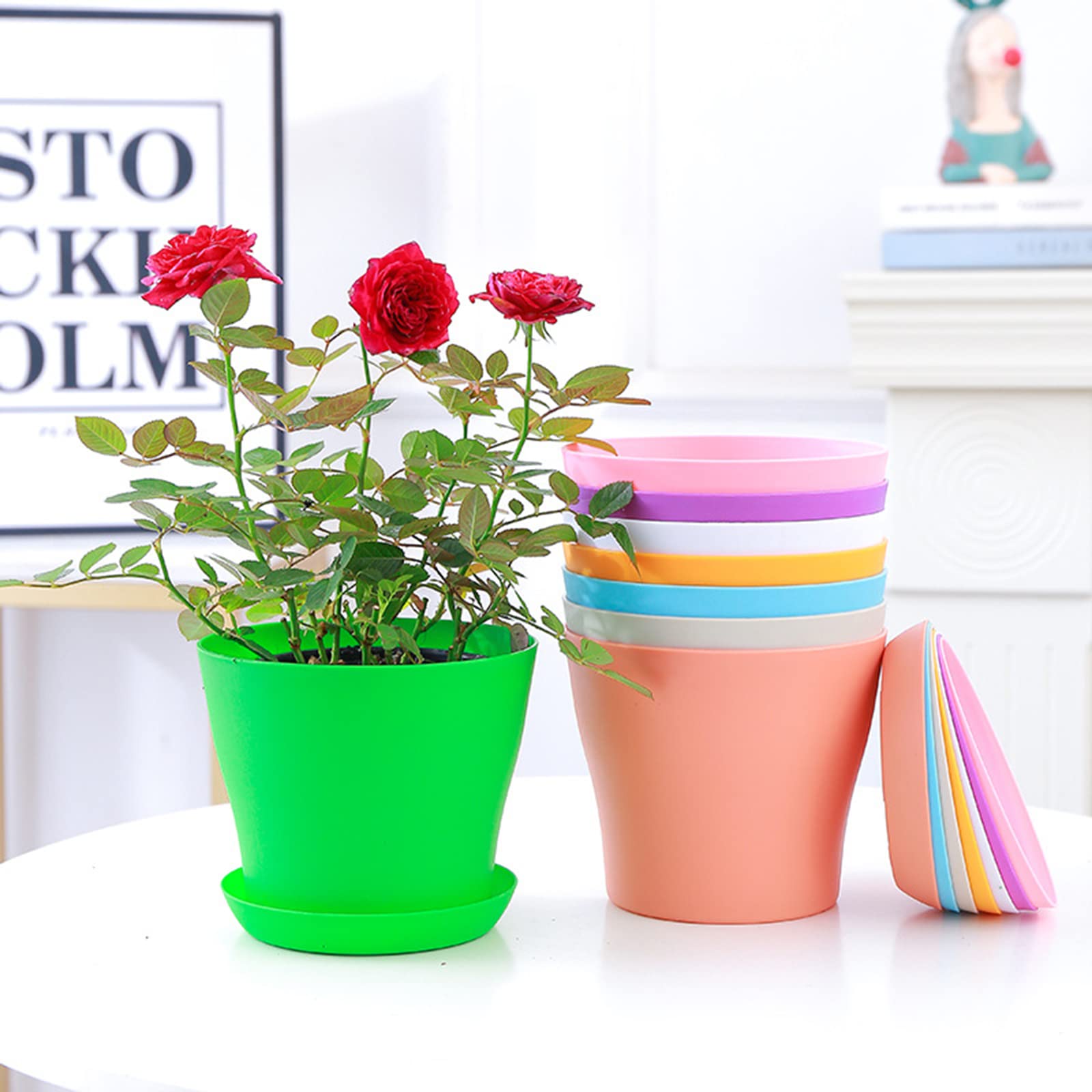 Tergy 4-inch pot in use with succulents and herbs