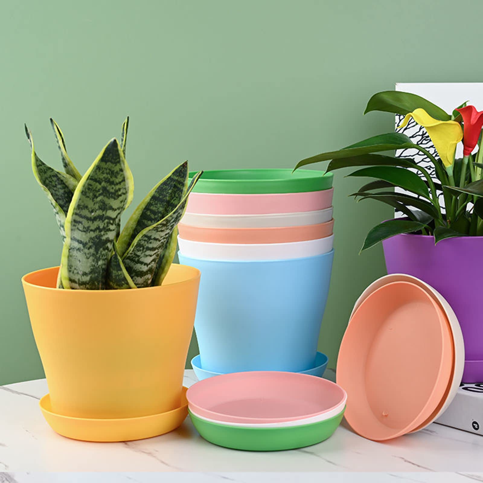 Tergy multicolor 4-inch pots ideal for decorative planters