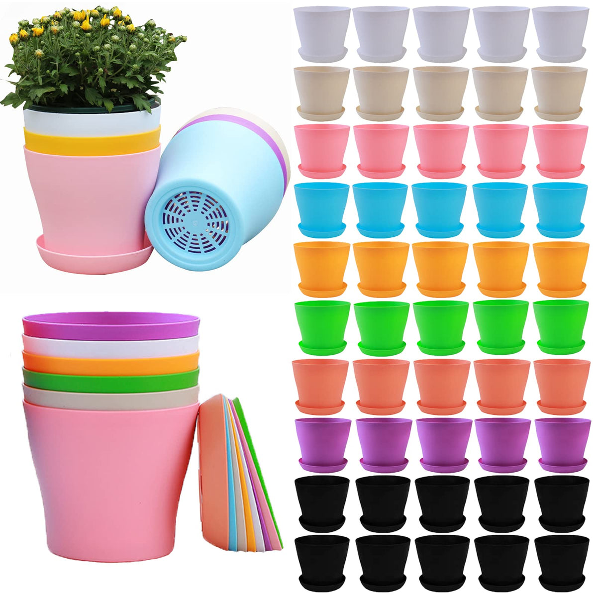 Tergy 50-pack 4-inch pot top view for compact planting versatility