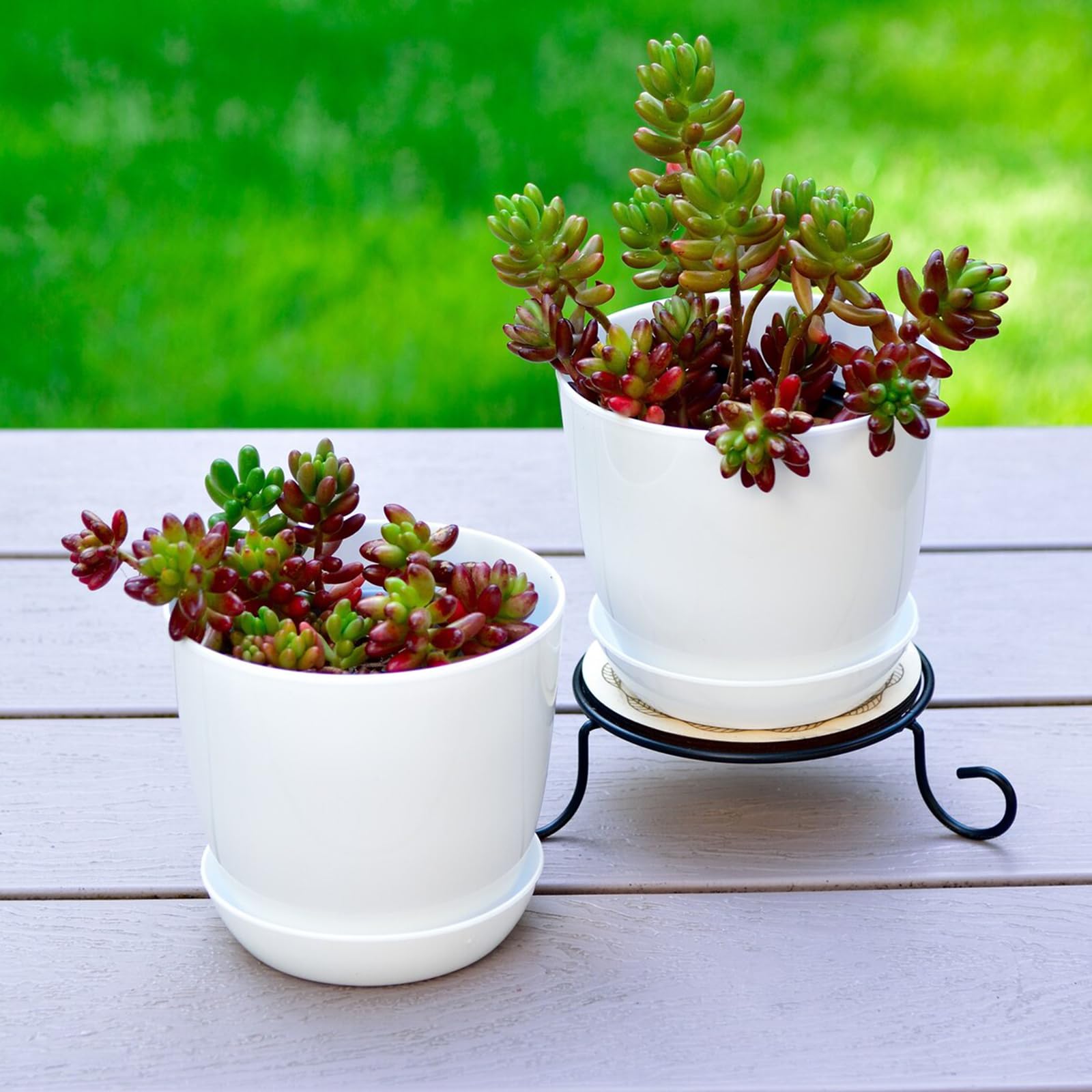 Tergy plastic planters with tray prevent surface mess.