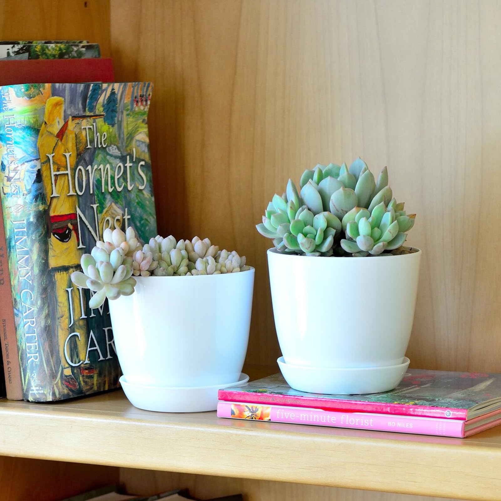 Tergy lightweight durable pots for succulents and micro plants.