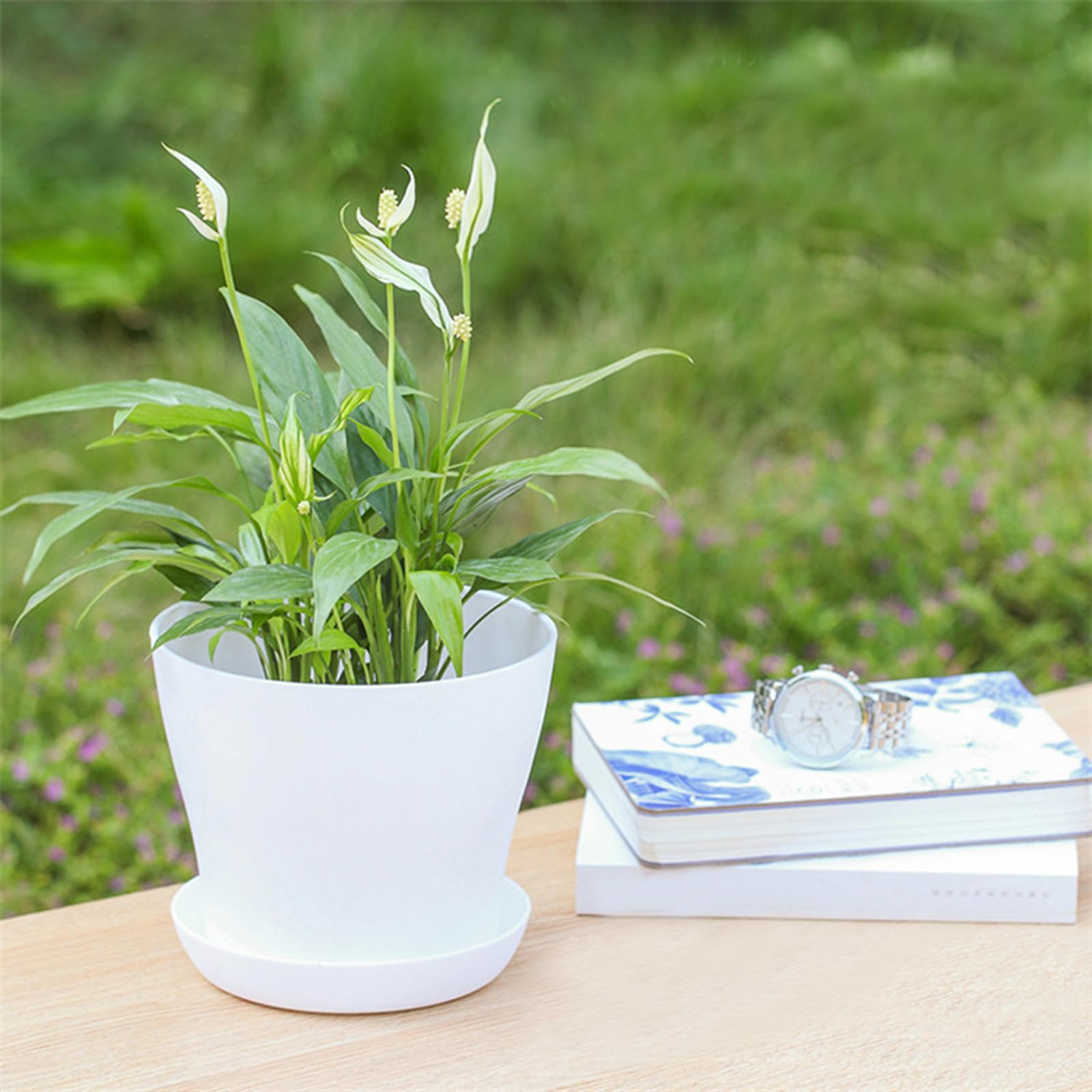 Tergy white planters suitable for indoor, office, and patio decor.