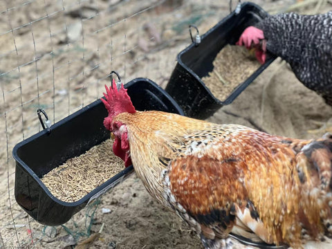 Clips, zip ties, and screws included for secure mounting with Terminalia feeder.