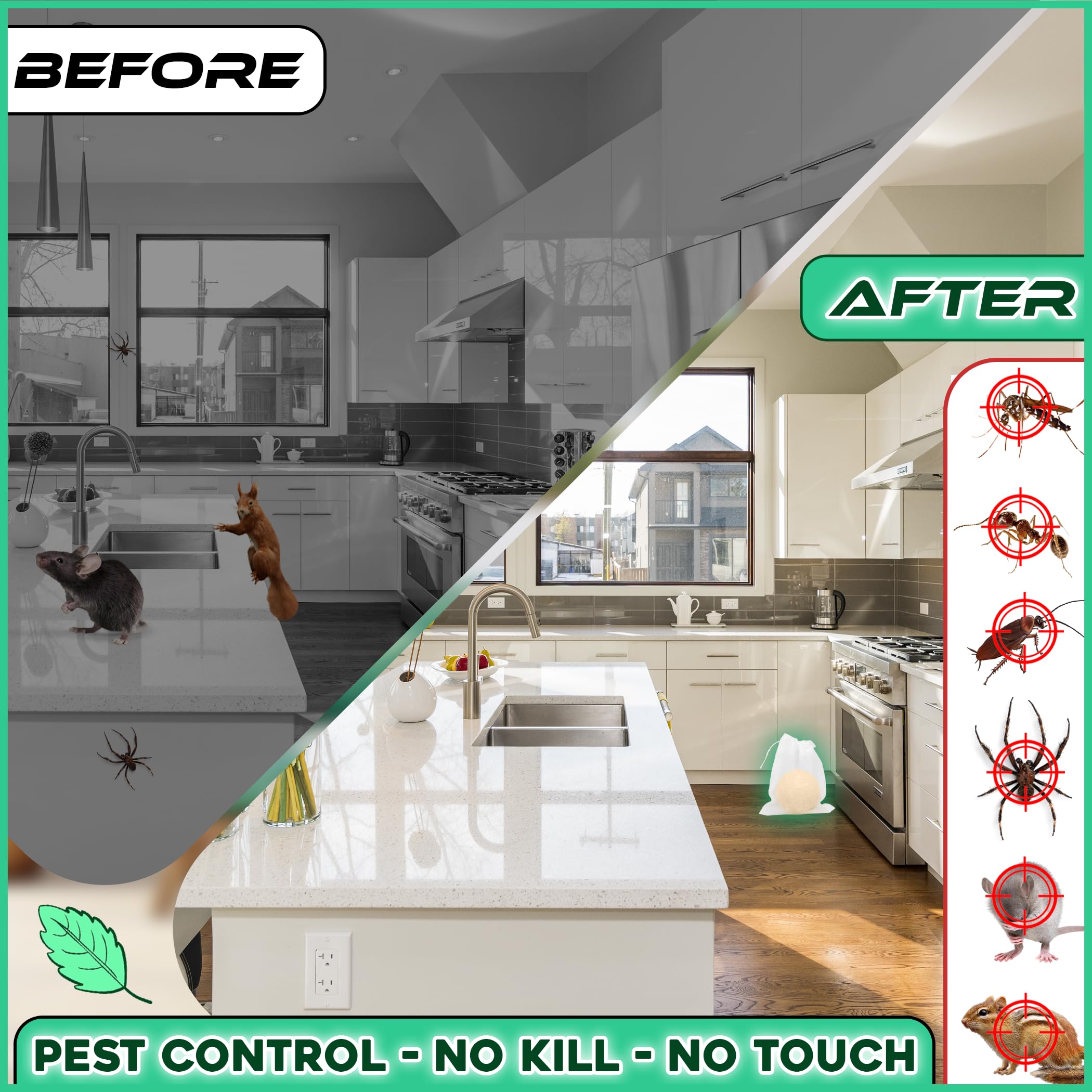 TERMX mothball basement application helps reduce burrowing activity.