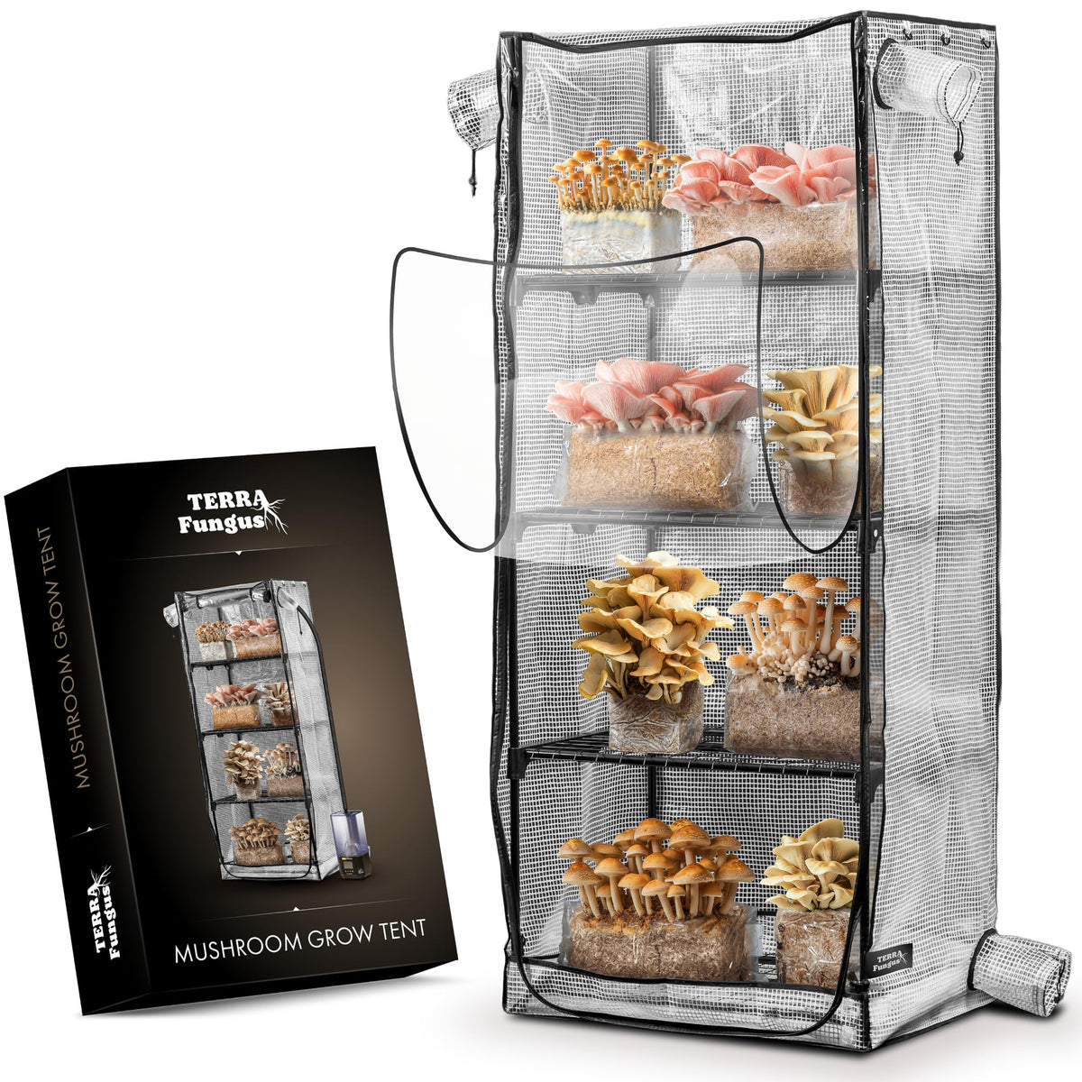 Terra Fungus Martha Tent: compact indoor greenhouse setup for monotub projects