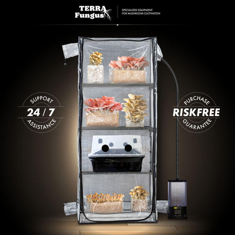 Terra Fungus Martha Tent ideal for small-space mushroom growing at home