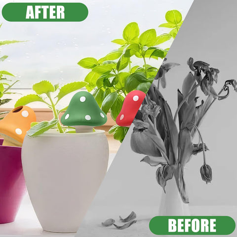 Terracotta globe used in outdoor pots to extend intervals between watering.