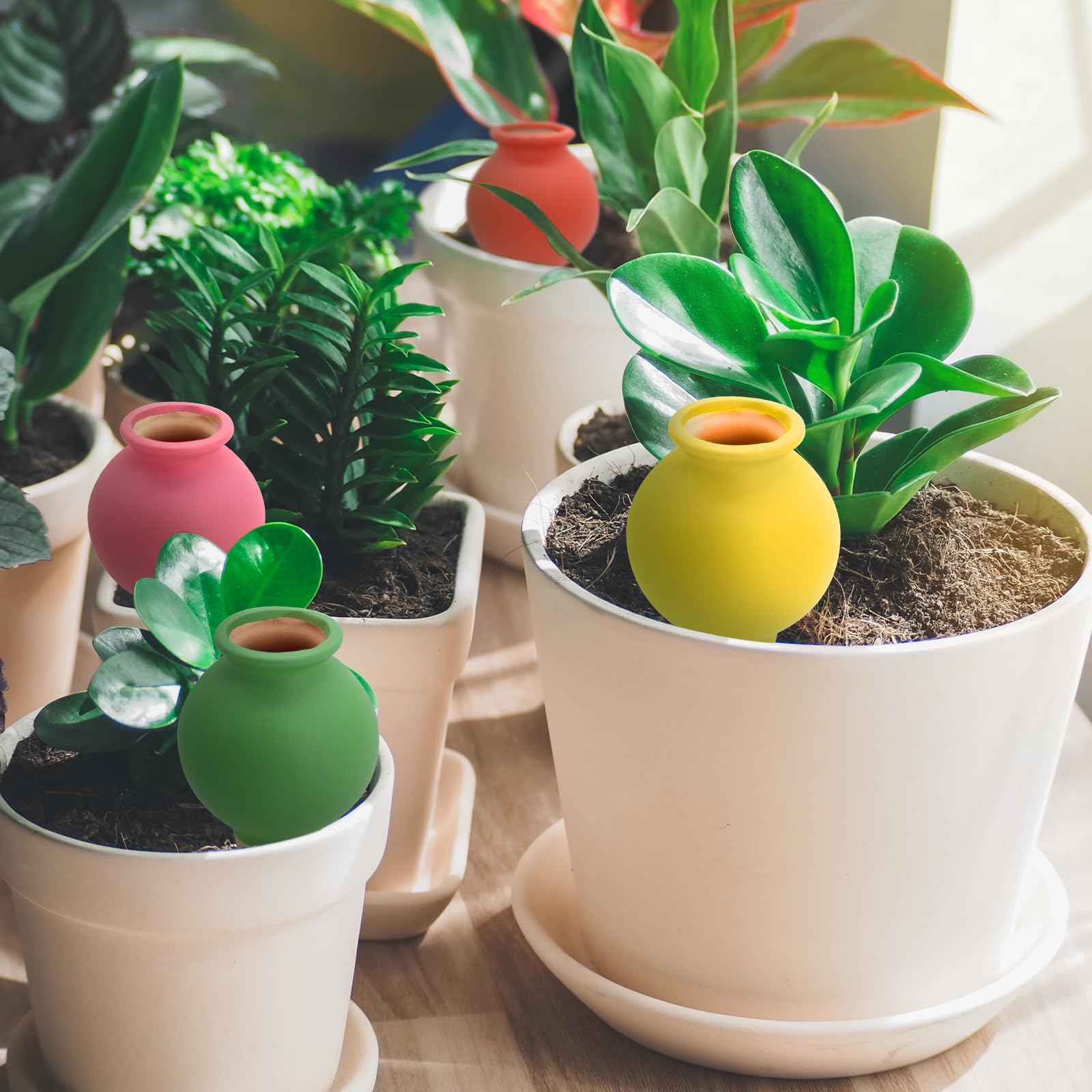 Terracotta Watering Globes visible in dirt with close-up view