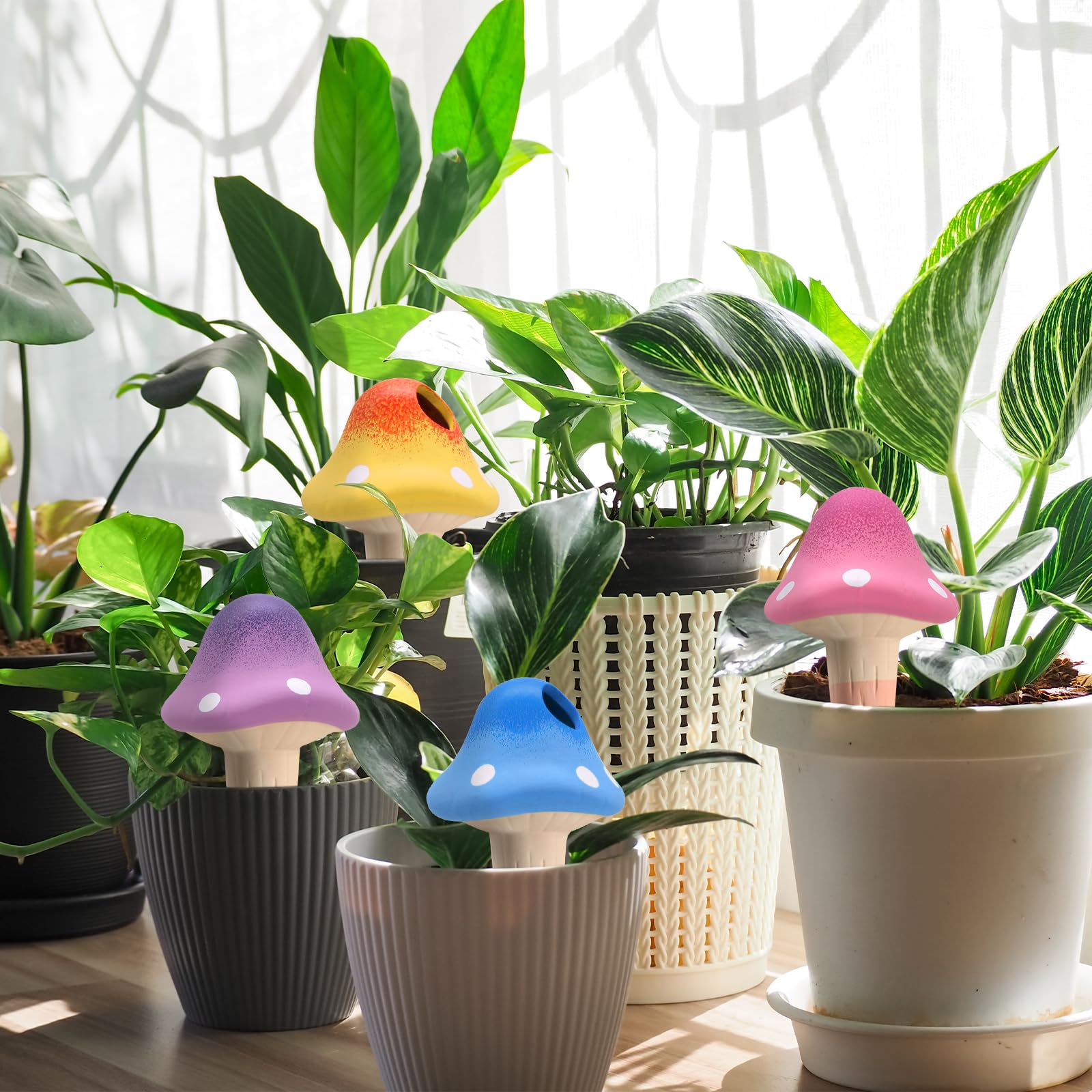 Terracotta watering spike mushroom shape packaging-ready for gifting.