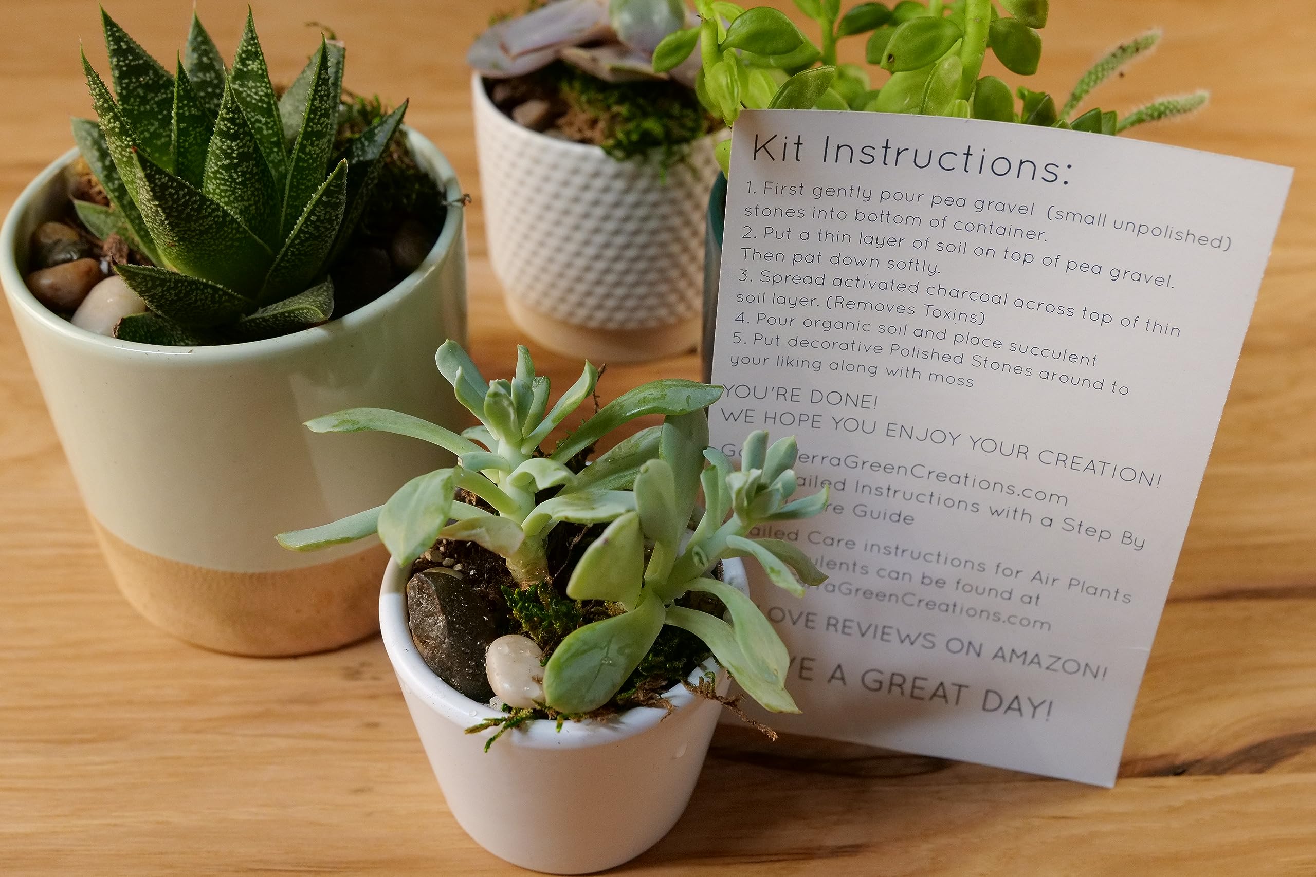 TerraGreen Creations starter kit components laid out for quick setup.