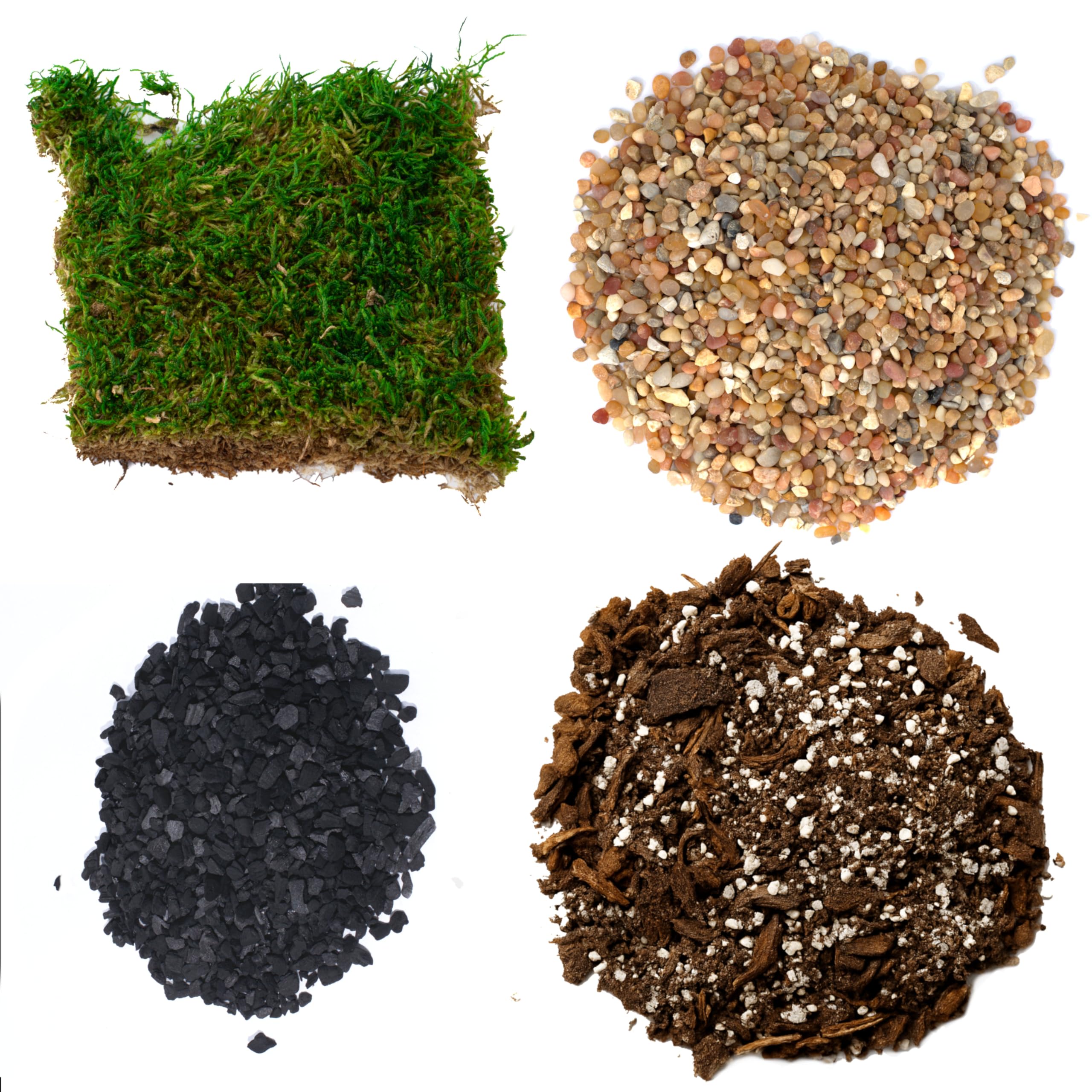 TerraGreen Creations succulent planter kit packaging enables easy terrarium setup.