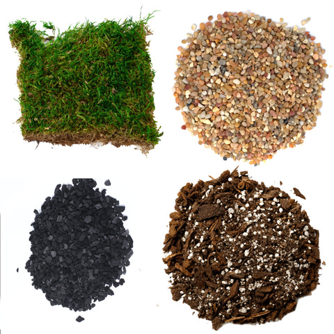 TerraGreen Creations succulent planter kit packaging enables easy terrarium setup.
