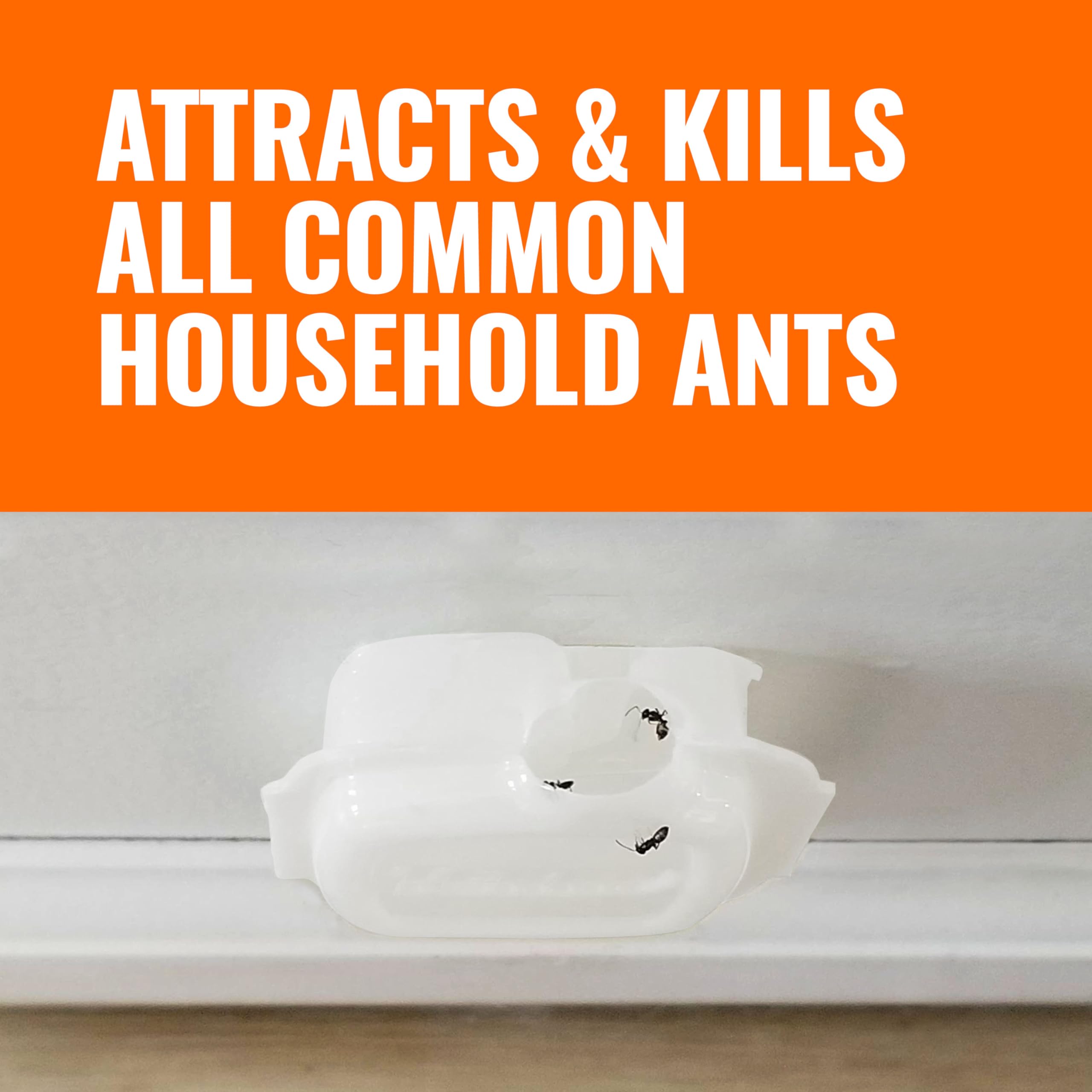 Terro 20 bait stations provide a ready solution for multiple hotspots.