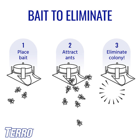 Terro outdoor ant activity illustrating bait attraction in the yard