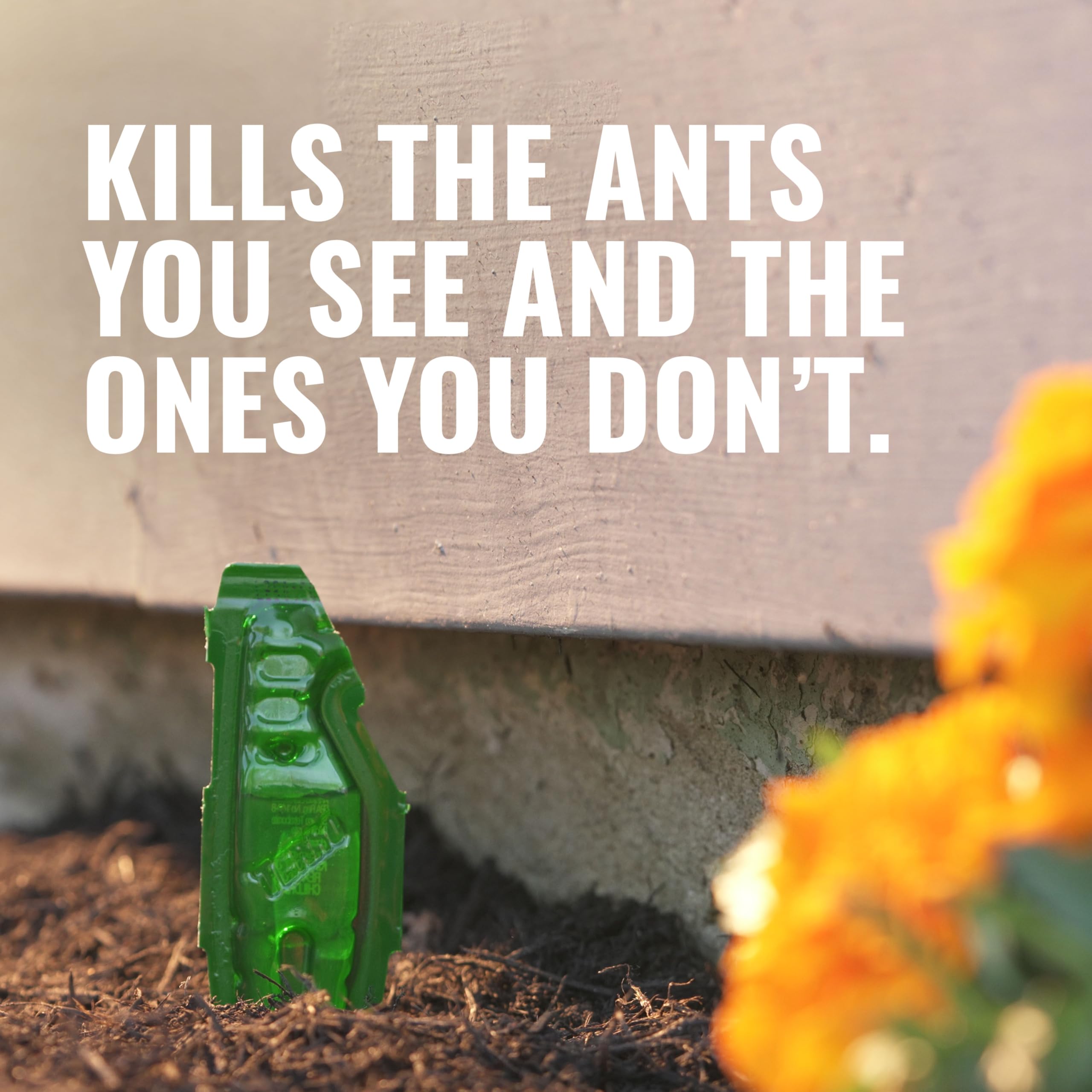 TERRO ant bait stake in-ground placement interrupts ant trails effectively.