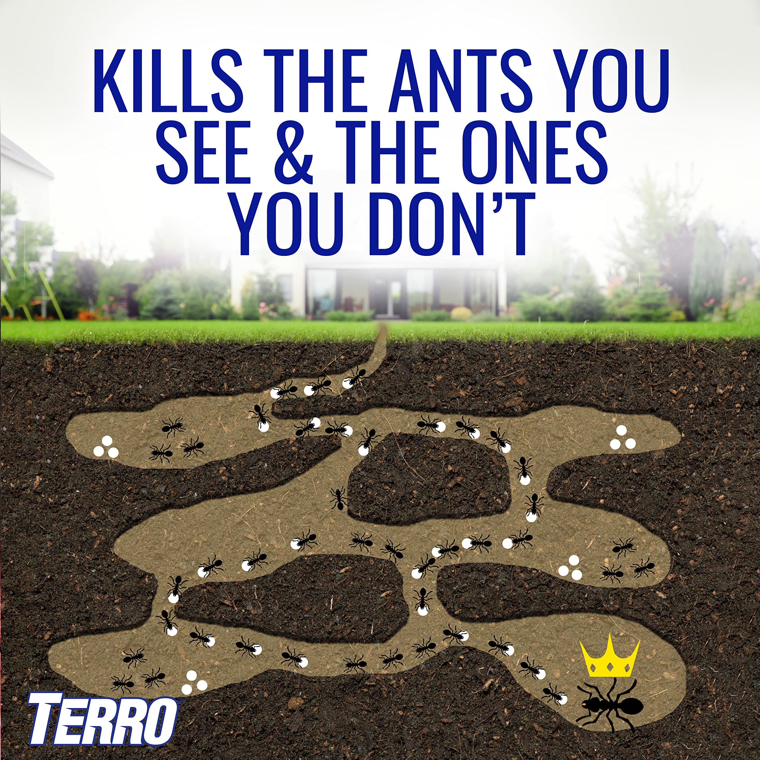Terro ant bait stake placement outdoors targets ants at entry points.