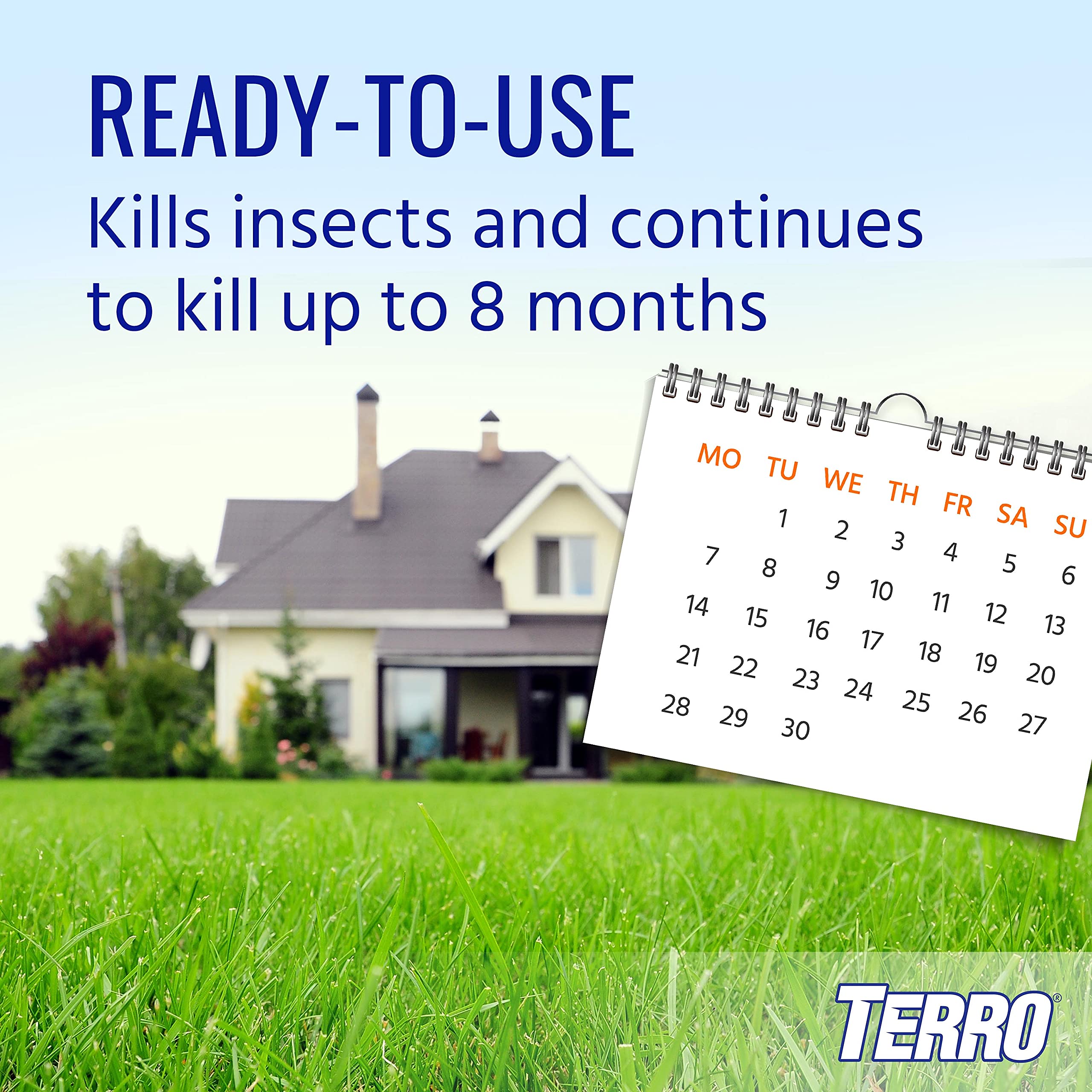 Terro Ant Dust applied directly on an ant hill for fast contact kill