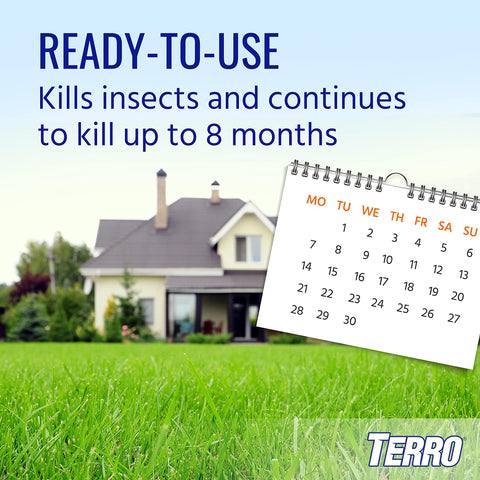 Terro Ant Dust applied directly on an ant hill for fast contact kill