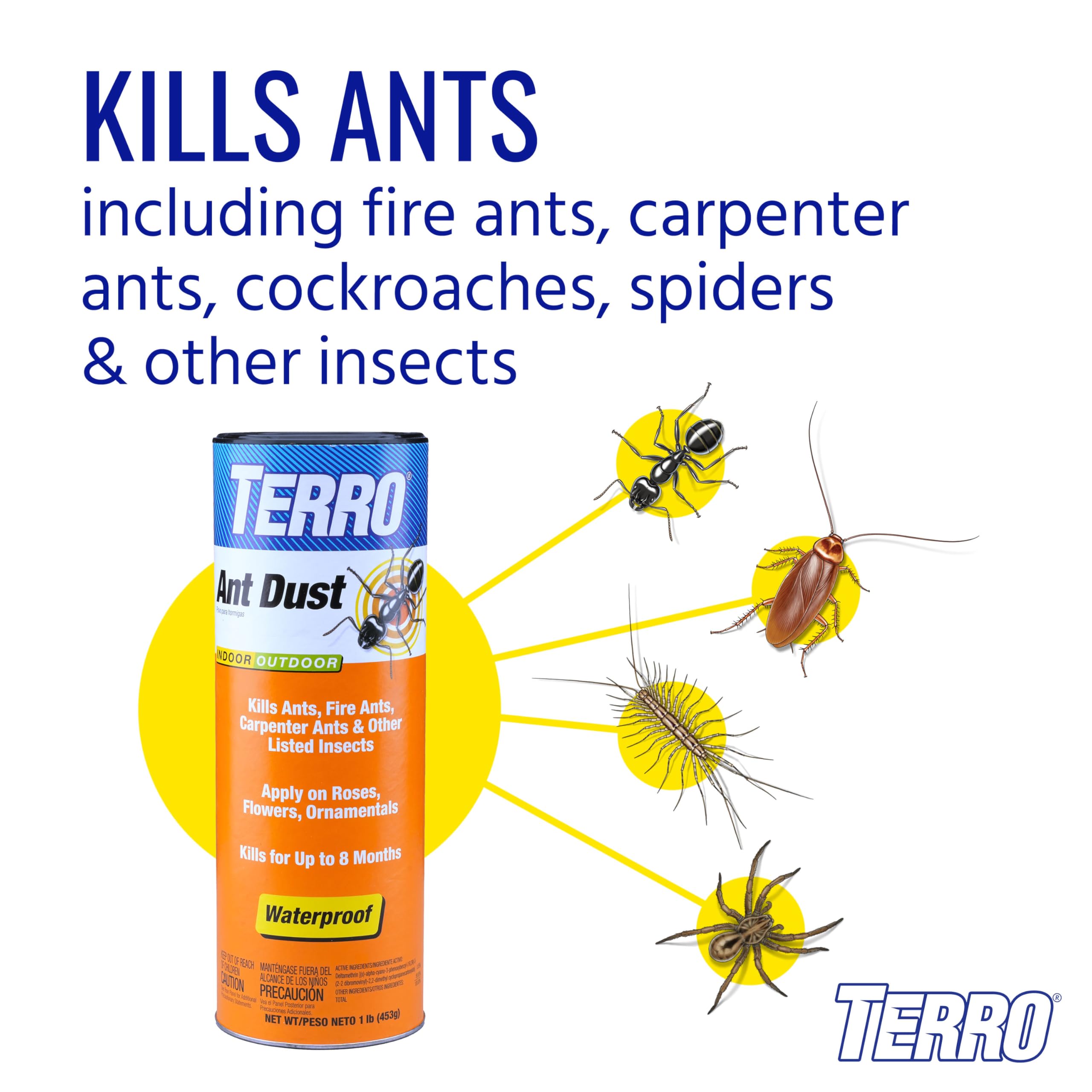 Terro Ant Dust outdoors around the foundation to protect against invading insects
