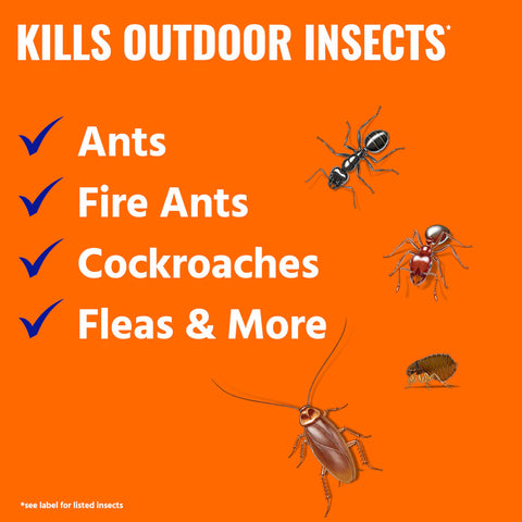 TERRO Ant Killer Plus fire ant mound treatment for quick outdoor relief.