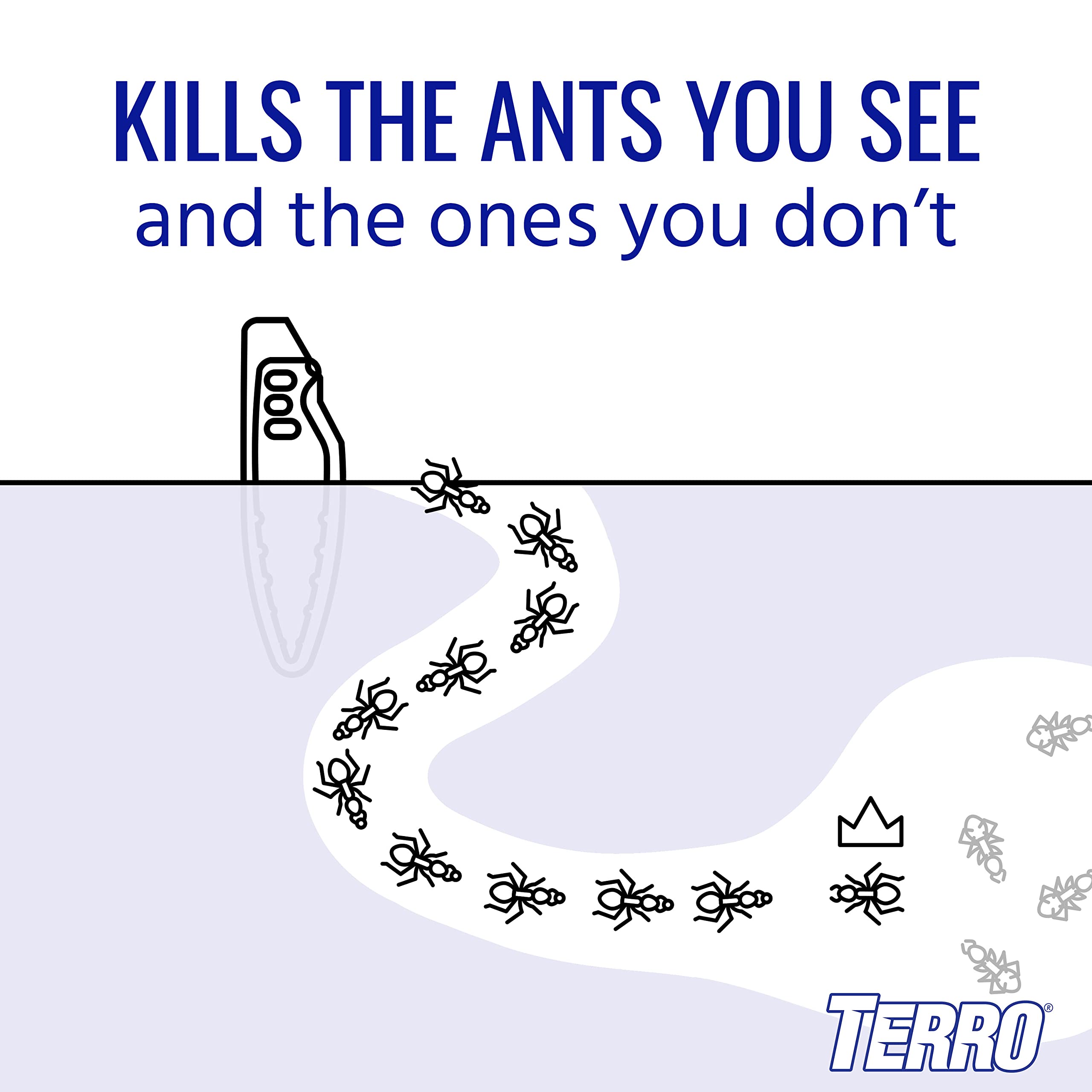 TERRO Liquid Ant Baits trail near doorway demonstrates targeted placement for foragers.