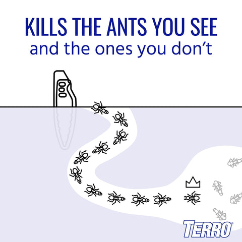 TERRO Liquid Ant Baits trail near doorway demonstrates targeted placement for foragers.