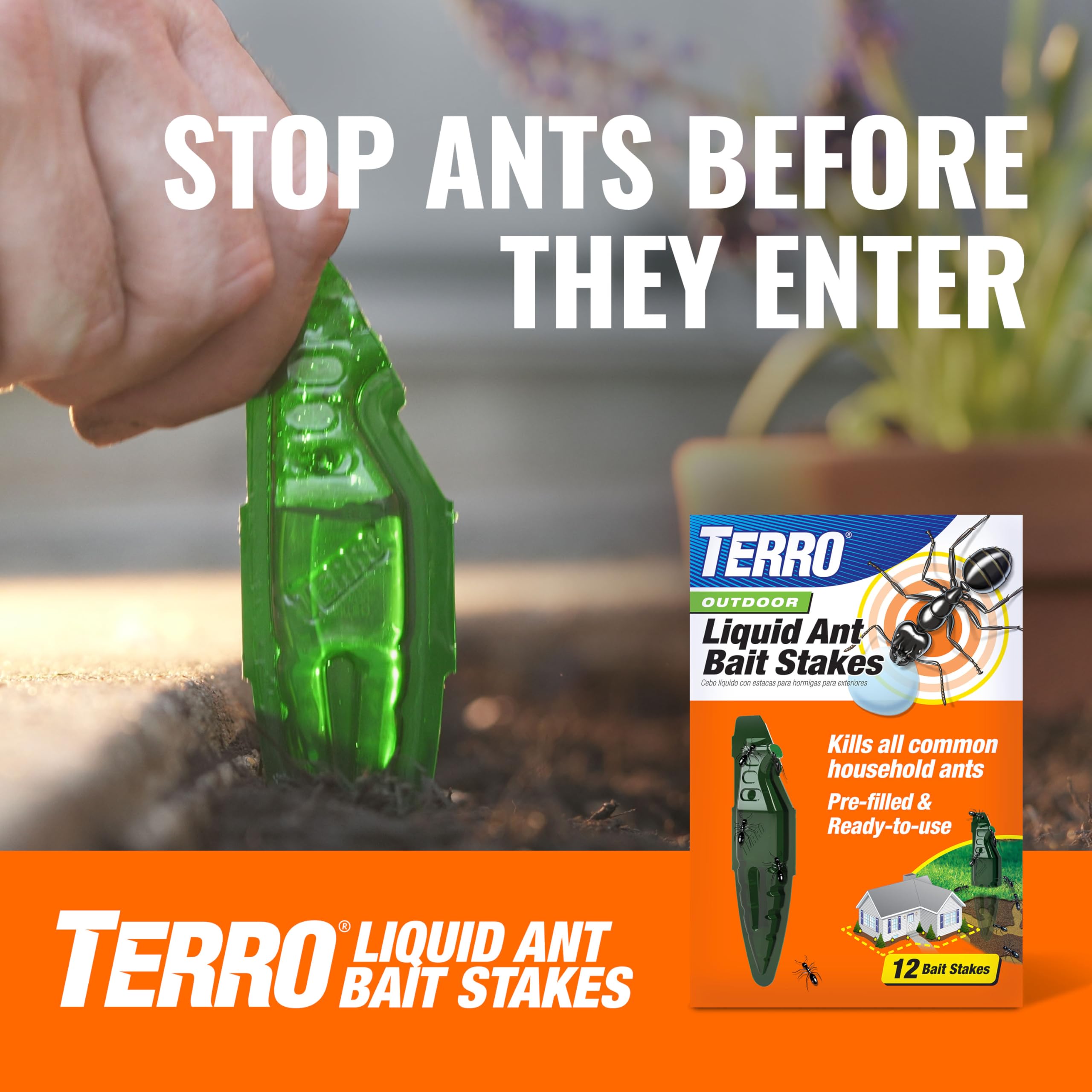 Bait sharing helps reduce unseen colony activity