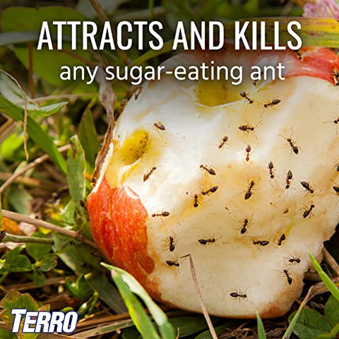Terro bait station monitoring emphasizes ongoing colony-level control by sharing bait.