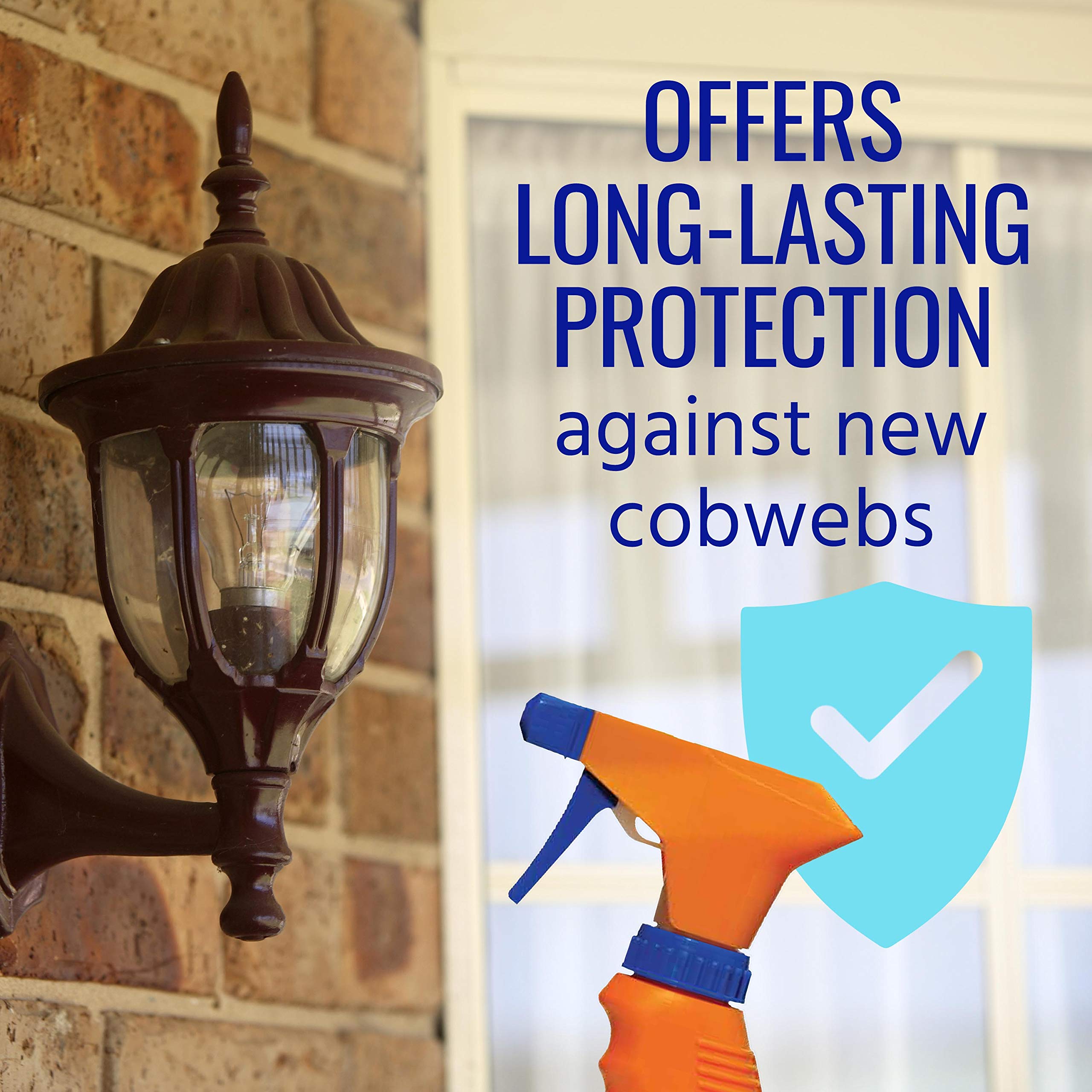 Area treated to remove existing webs and prevent rewebs with TERRO