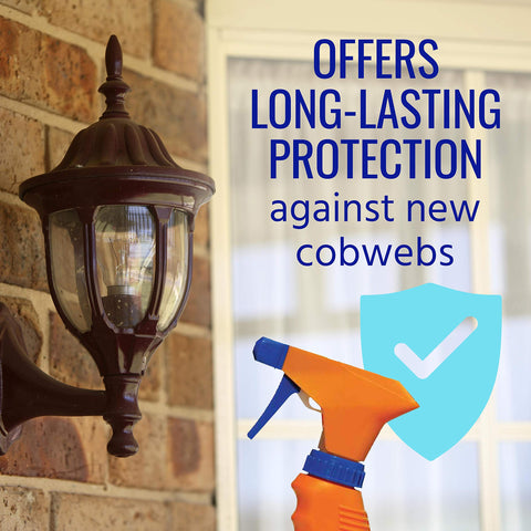Area treated to remove existing webs and prevent rewebs with TERRO