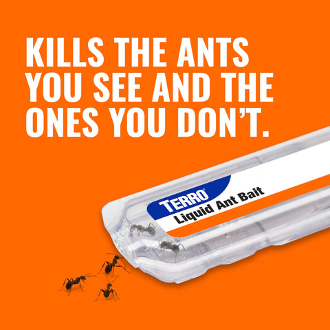 Terro corner and countertop placement emphasizes versatile ant baiting hotspots.
