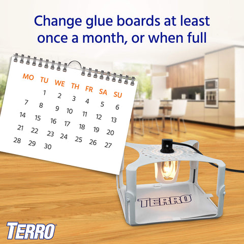 TERRO easy-install glue-card refill demonstrates replacement ease