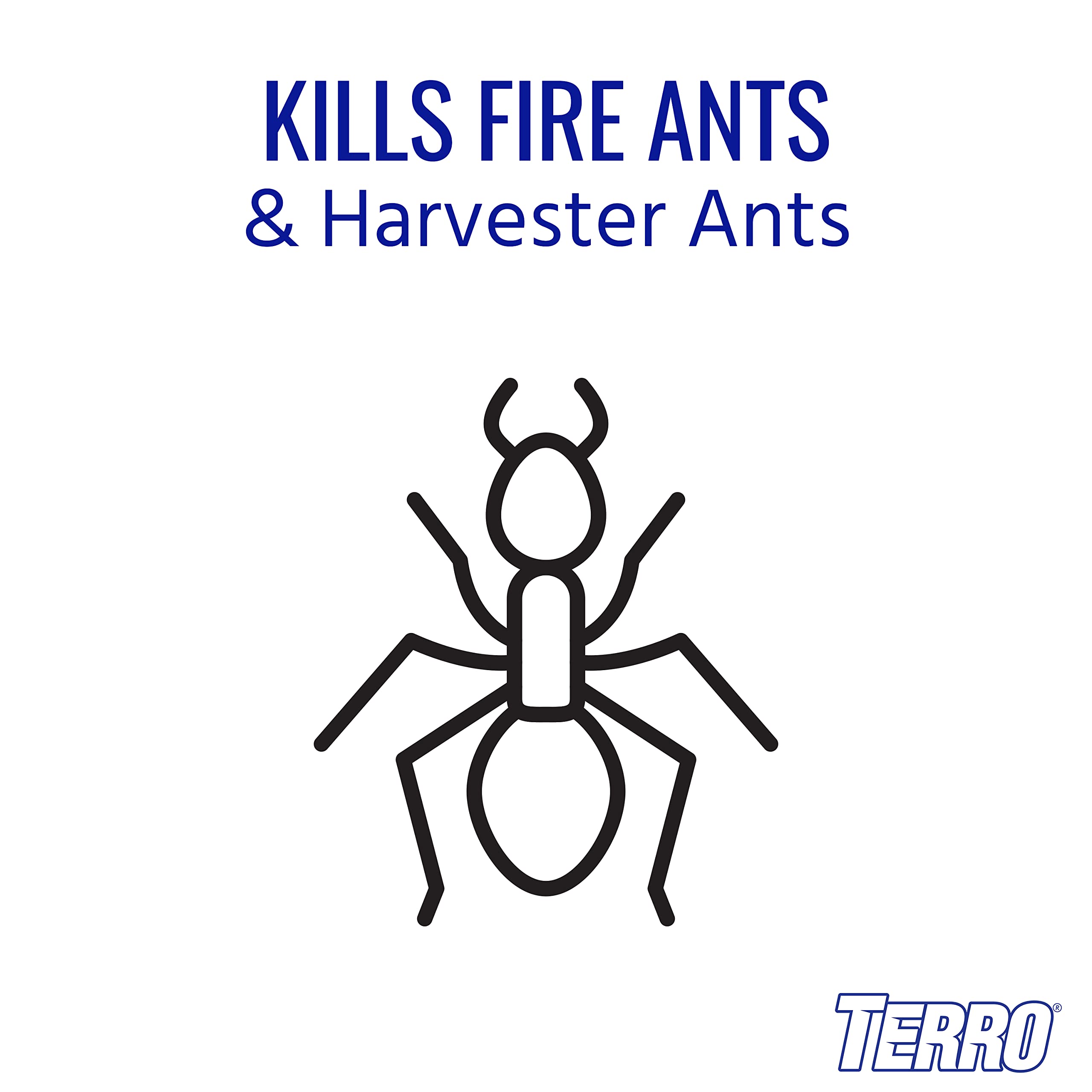 Terro fire ant bait granules on a mound attracting ants for colony sharing