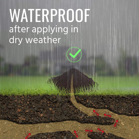 Outdoor setup with TERRO Fire Ant Killer, waterproof formula for long-lasting protection.