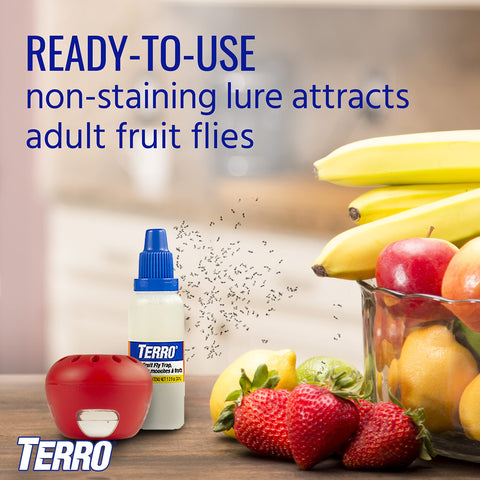 Terro trap built-in windows for easy lure monitoring.