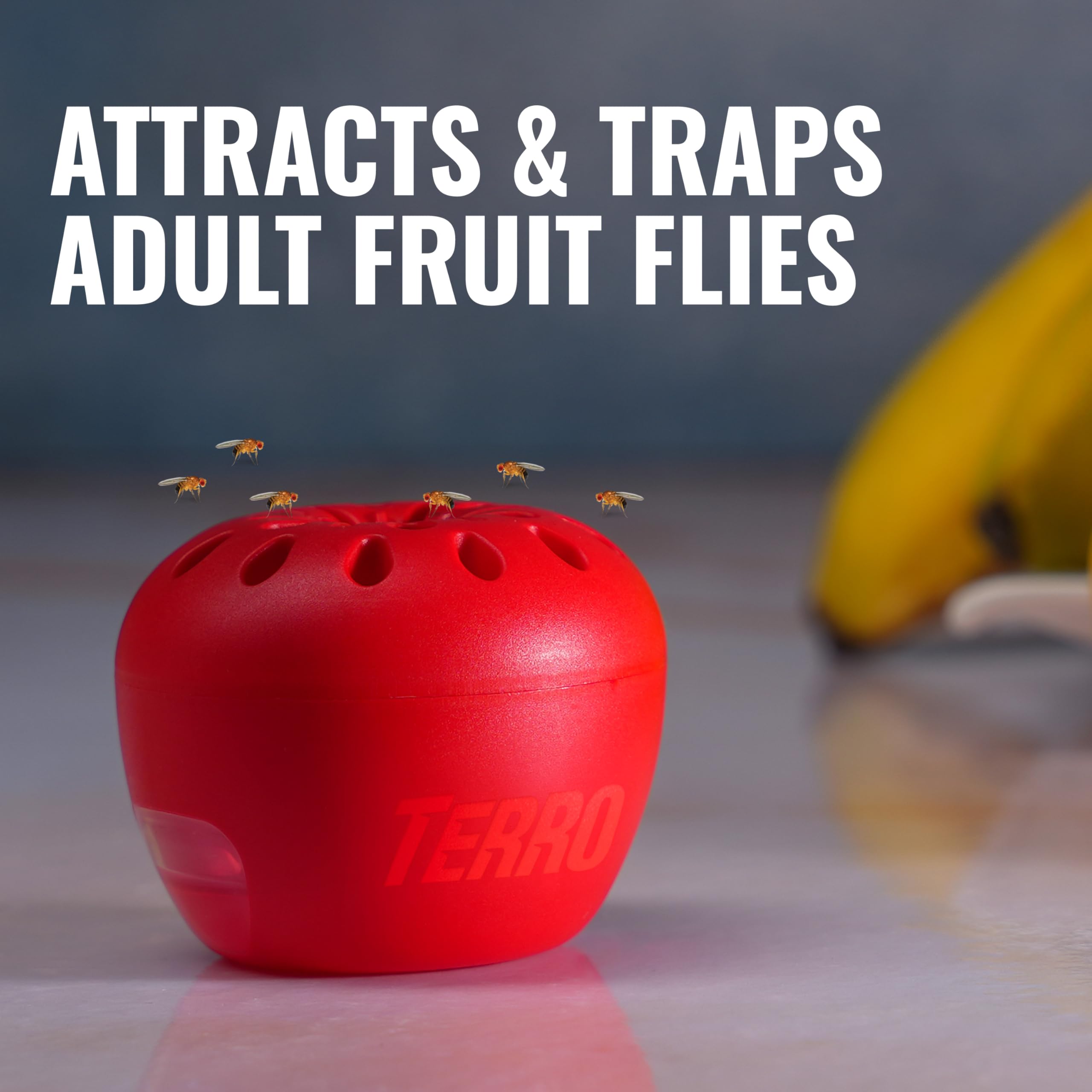 Terro trap placed in kitchen near fruit bowl captures flies quickly