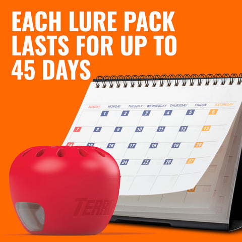 Terro fruit fly trap six-pack providing ongoing protection for weeks.