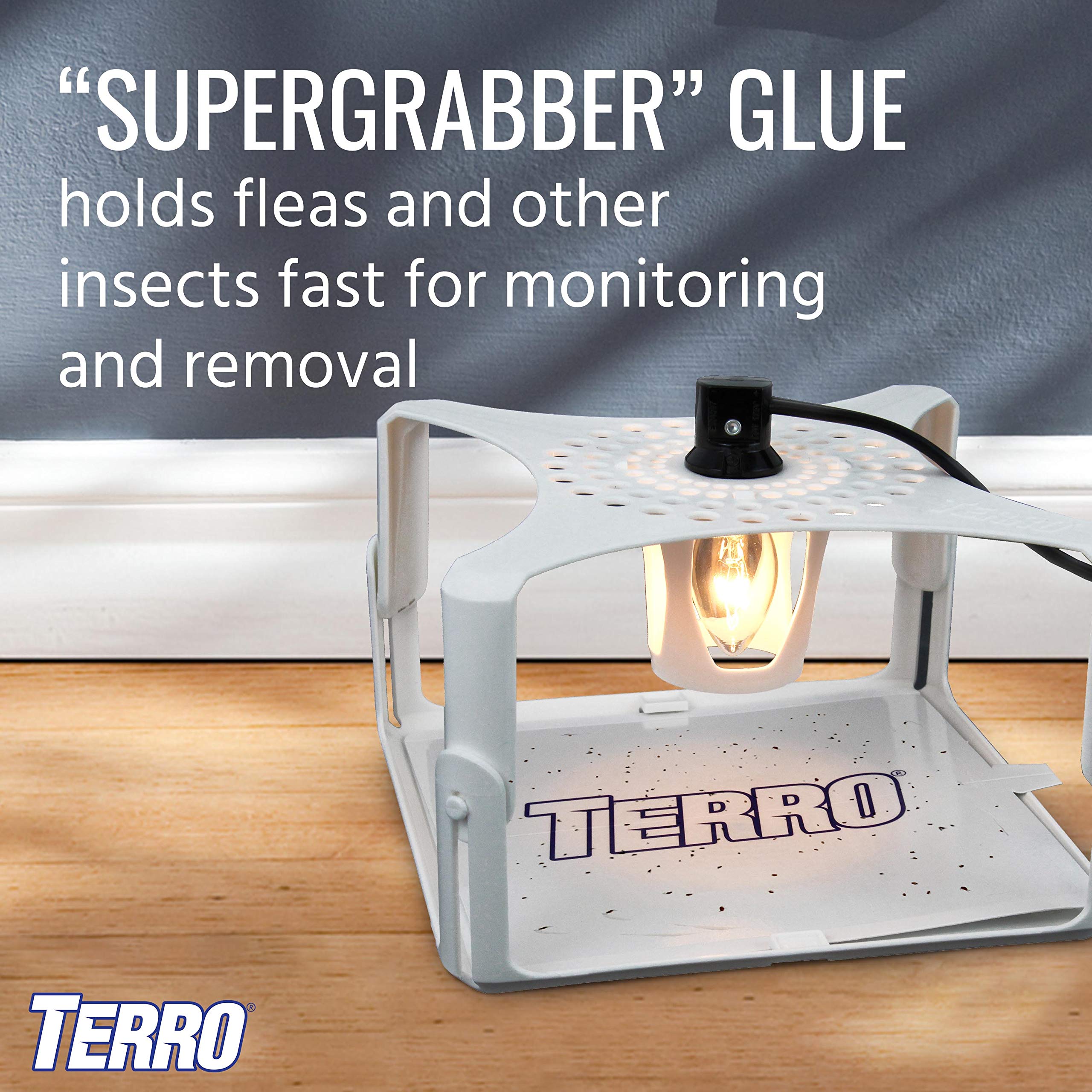 TERRO indoor flea-detection refill shown for monitoring
