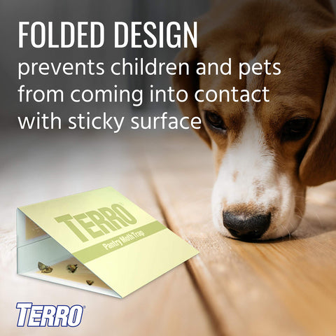 TERRO Pantry Moth Traps on-shelf in pantry for discreet protection