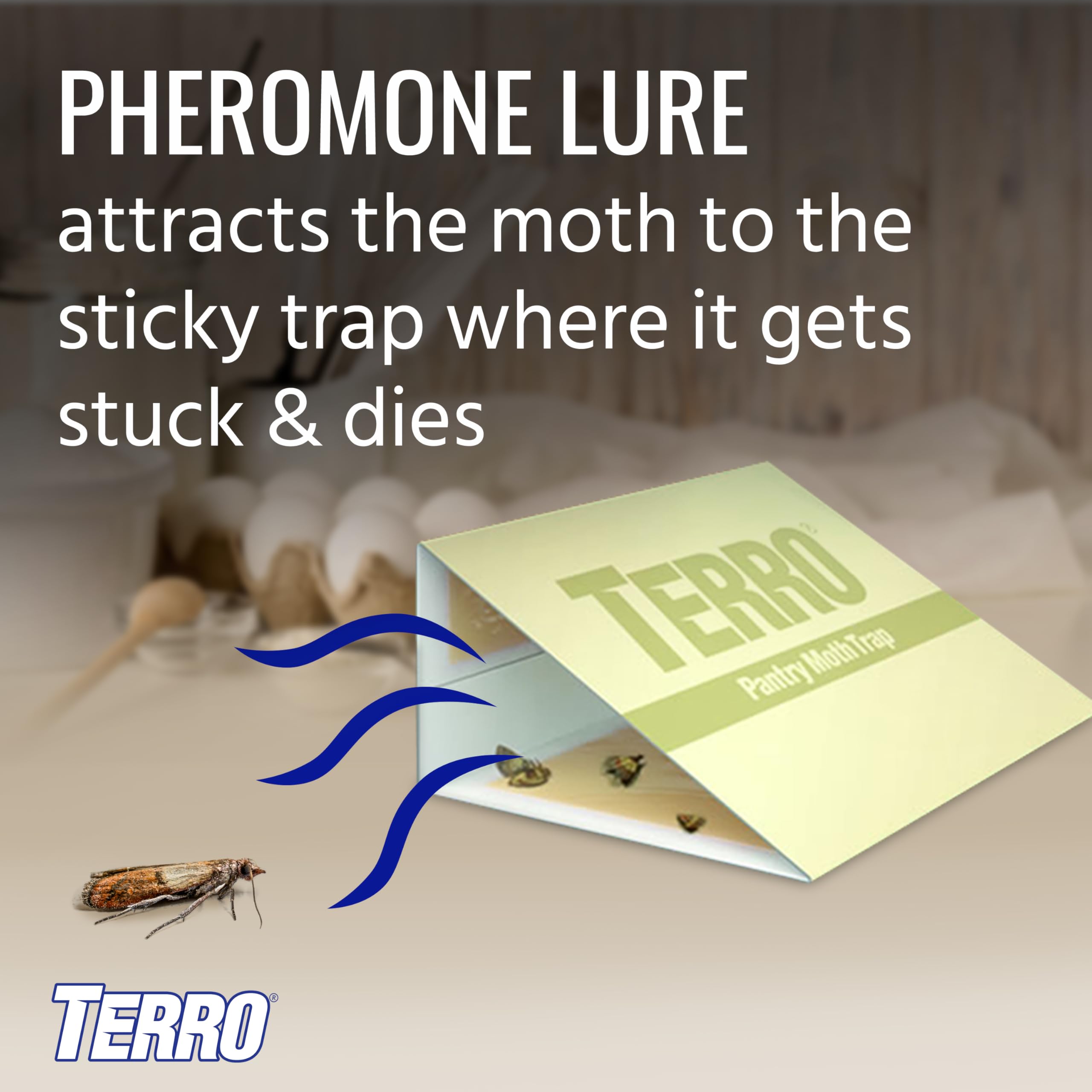 TERRO Pantry Moth Traps sticky traps capture moths on contact