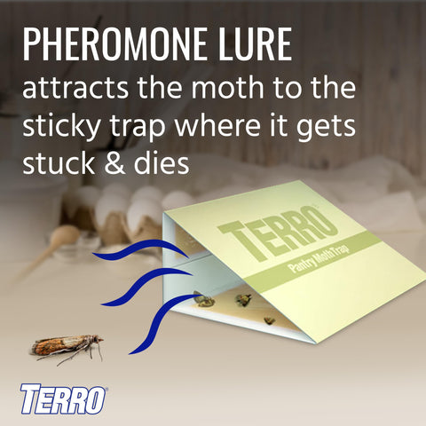 TERRO Pantry Moth Traps sticky traps capture moths on contact