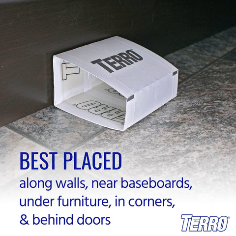 TERRO Spider Trap T3206 baseboards and corners placement targets travel routes.