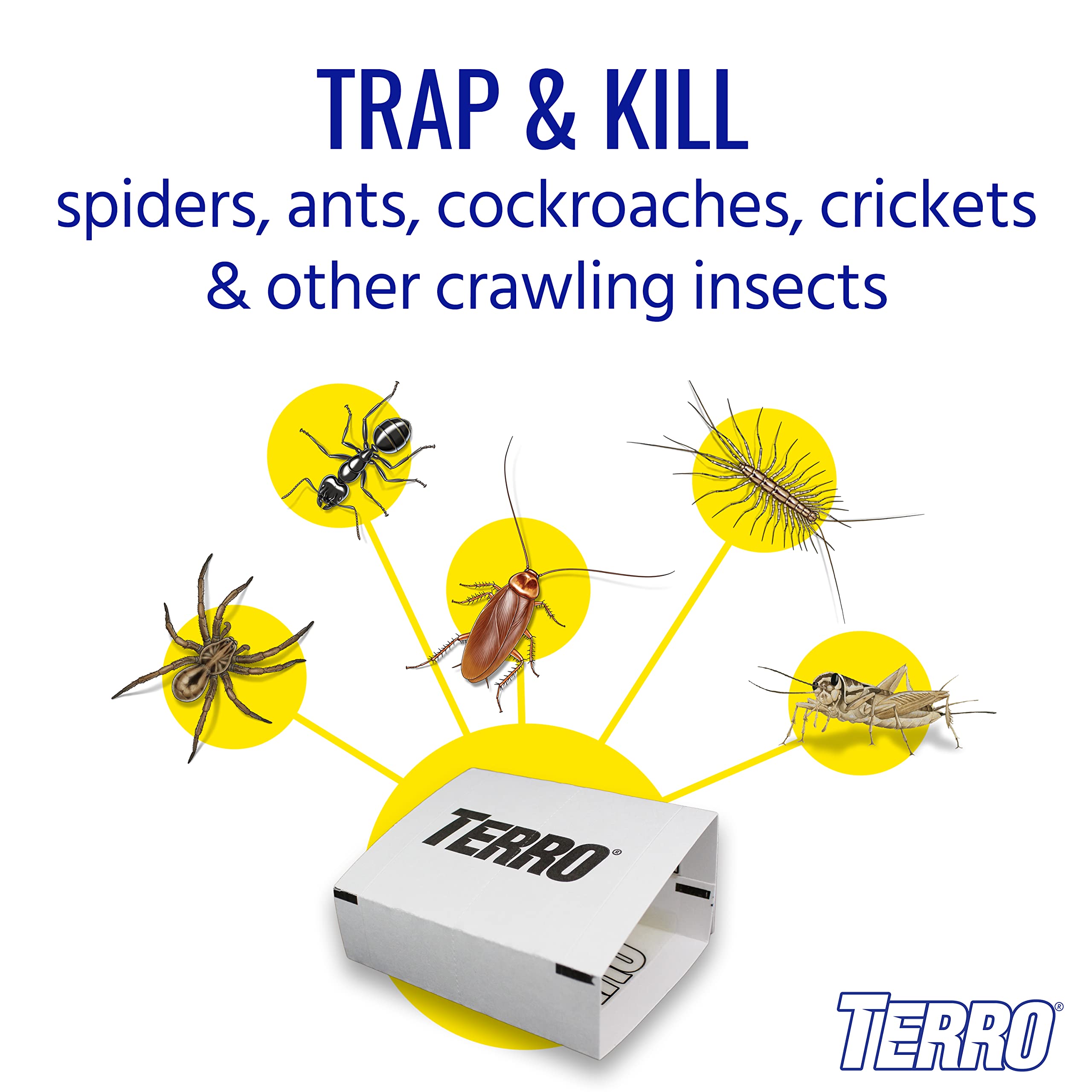 TERRO Spider Trap T3206 folded design conceals insects from sight.