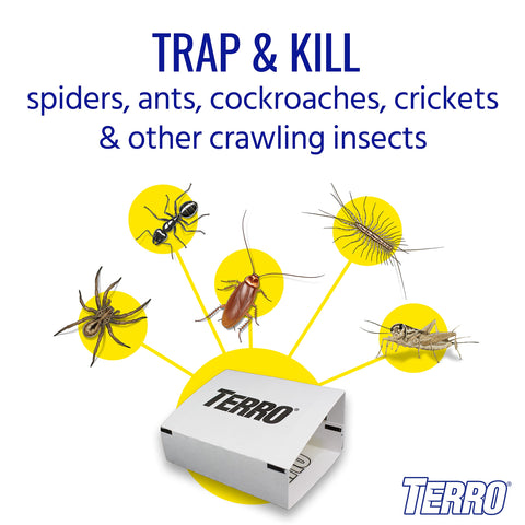 TERRO Spider Trap T3206 folded design conceals insects from sight.