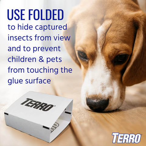 TERRO Spider Trap T3206 insect capture reduces visible pests.