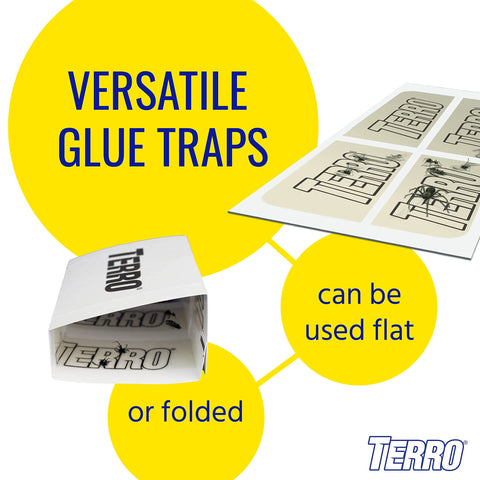 TERRO Spider Trap T3206 pack of 10 enables multi-room coverage.