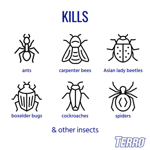 Terro T1700SR kills ants, cockroaches and spiders for safer outdoor spaces
