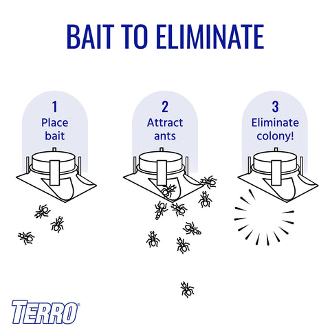 Terro T1804SR effective against common ant species including odorous house ants.